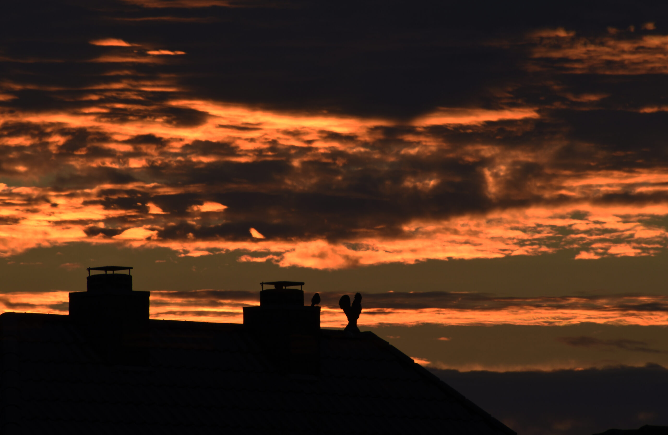 Morgenröte, als der Vogel noch vor dem Hahn auf dem Dach saß