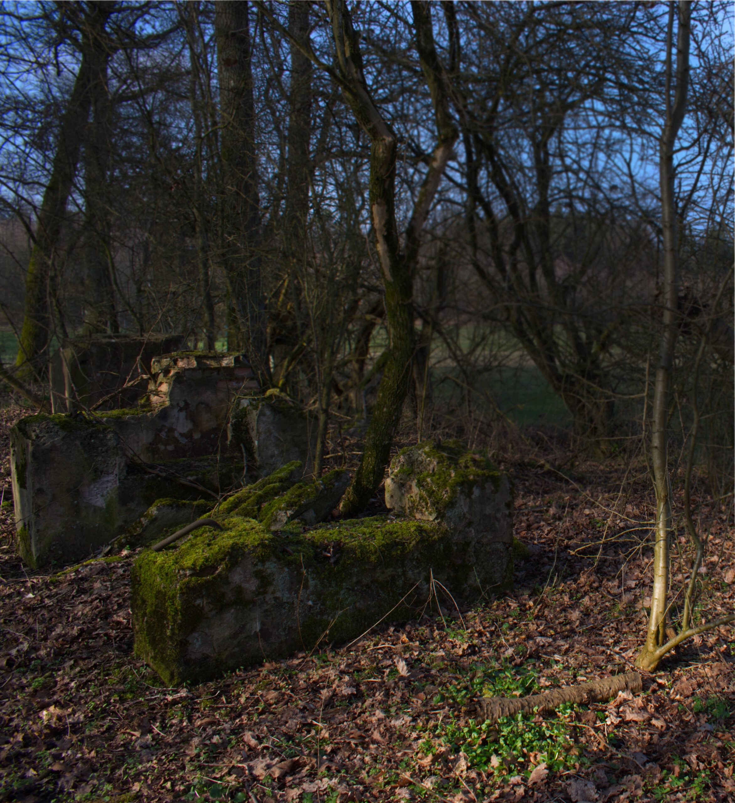 Viele Mauerreste der Ruine